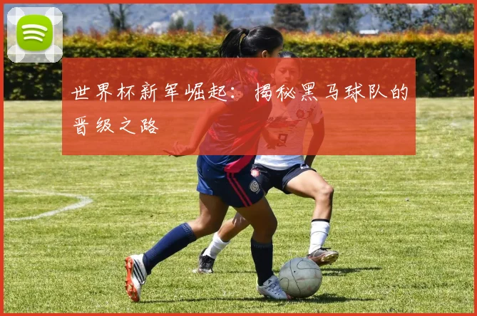 世界杯新军崛起：揭秘黑马球队的晋级之路