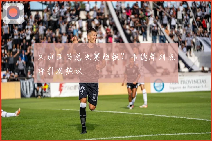文班亚马总决赛短板?韦德犀利点评引发热议